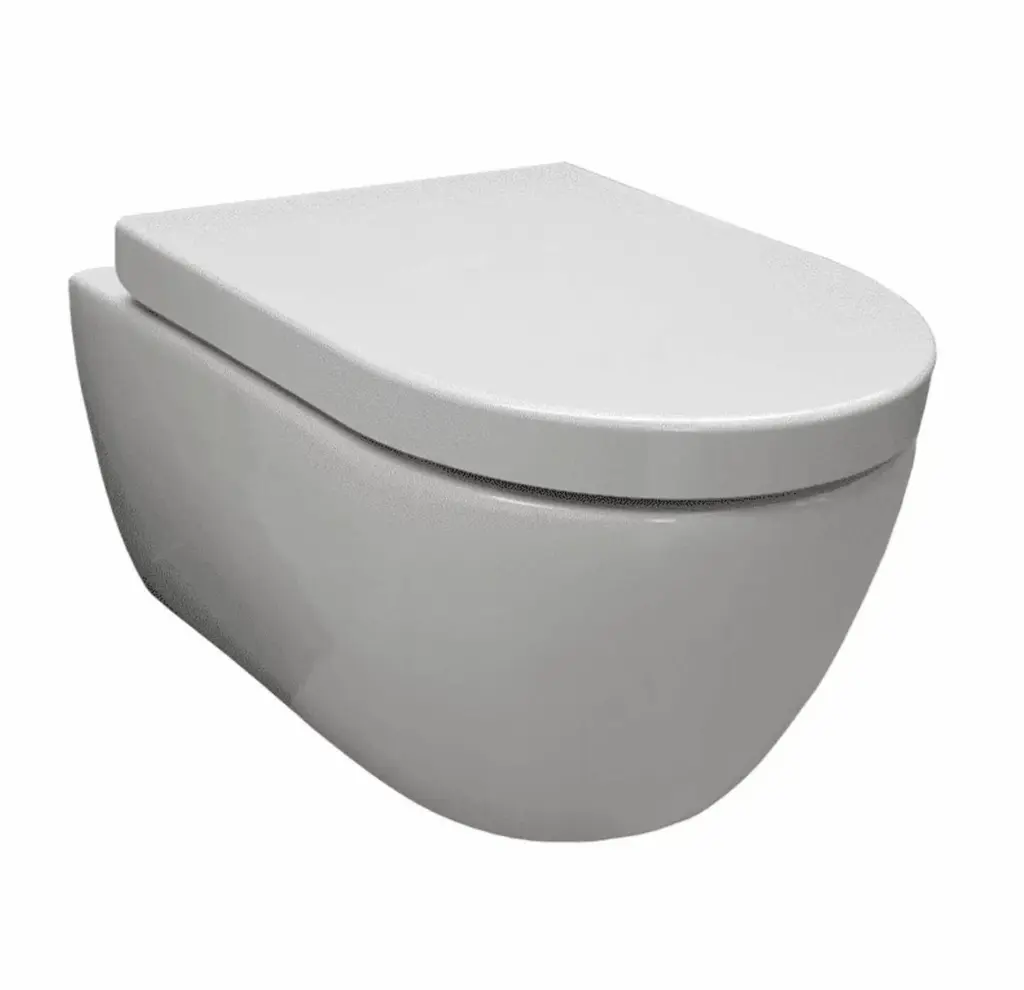 Saniful Wandcloset Rimfree compact met softclose zitting